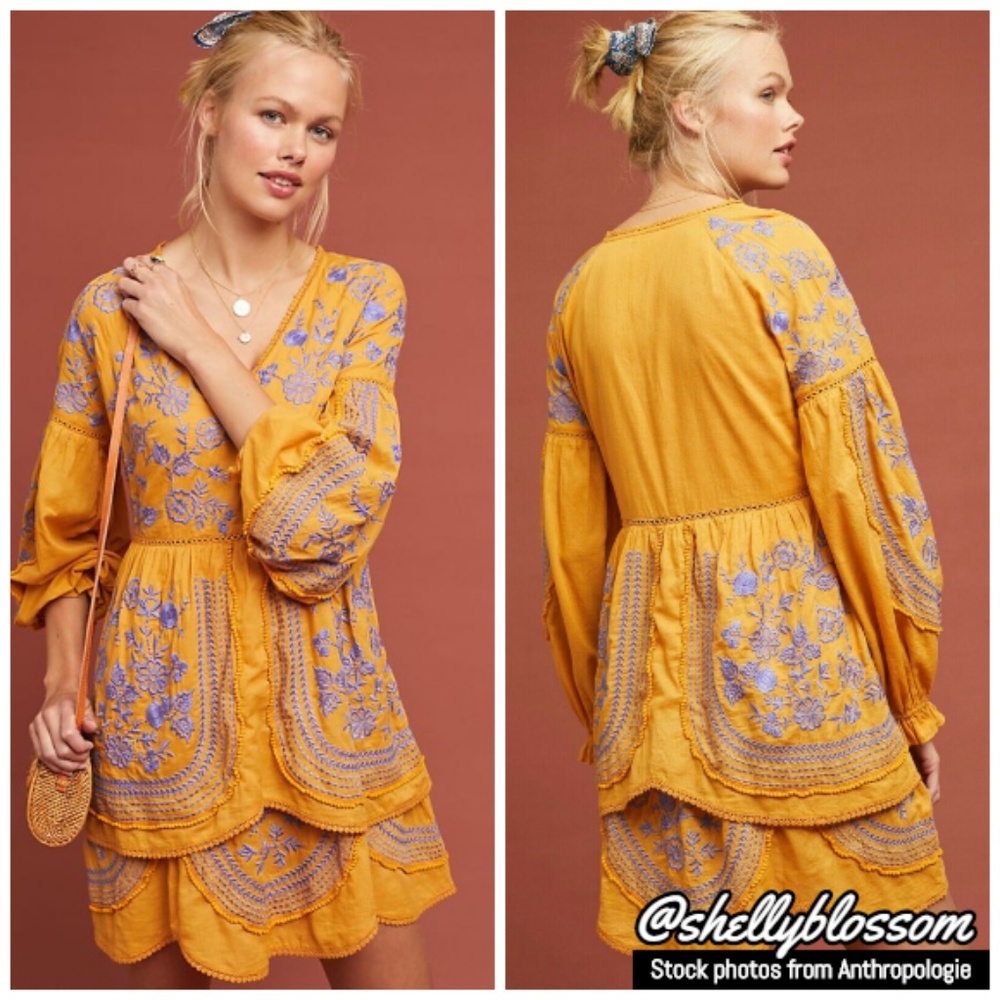 NWT Anthropologie Lisette Embroidered Tunic Dress - Picture 3 of 3